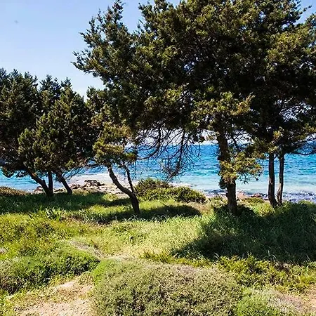A House Between Ancient Olympia And The Ionian Sea Дом отдыха