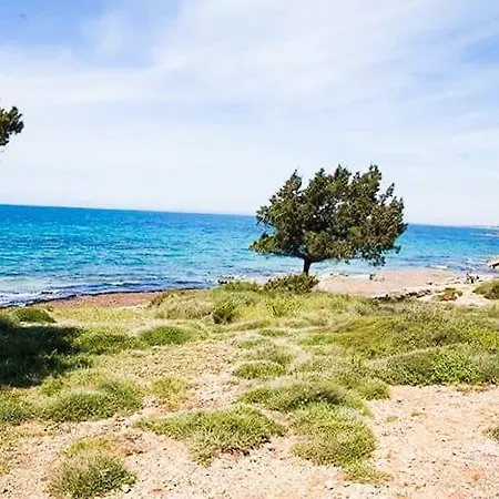 A House Between Ancient Olympia And The Ionian Sea Levendokhorion